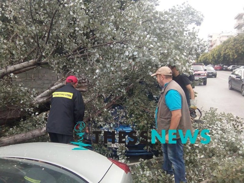 Θεσσαλονίκη: Δέντρο έπεσε και καταπλάκωσε σταθμευμένο αυτοκίνητο [εικόνες] | iefimerida.gr 0