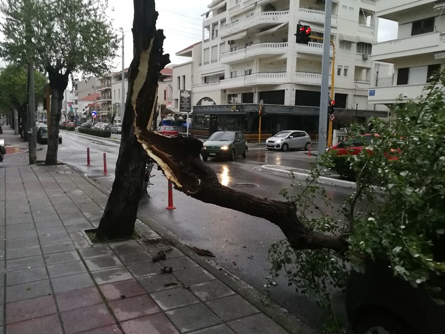 Η κακοκαιρία πλήττει ξανά τα Χανιά  -Κατολισθήσεις, πτώσεις δέντρων και κλειστά σχολεία [εικόνες & βίντεο] | iefimerida.gr 1