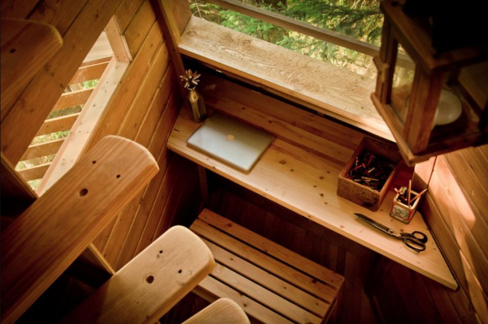 Κατασκόπευε εκατομμυριούχους μέσα από το δεντρόσπιτό του [εικόνες-βίντεο] | iefimerida.gr 3