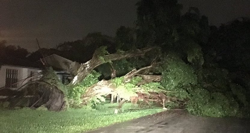 Ο τυφώνας Μάθιου χτύπησε τη Φλόριντα - Καταστρέφει τα πάντα στο πέρασμά του [βίντεο] | iefimerida.gr 0