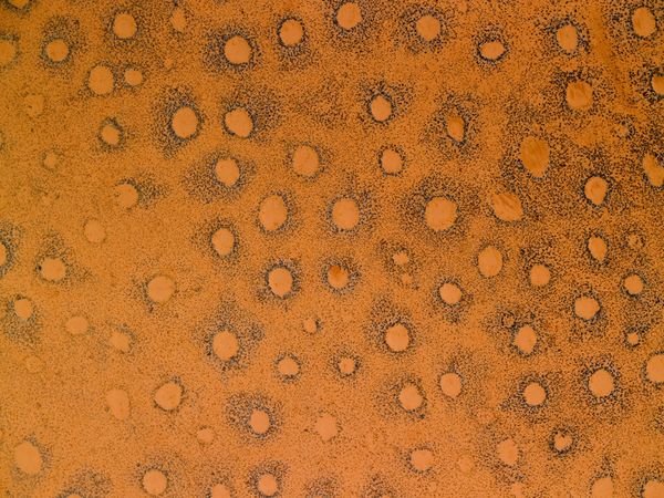 Ο κόσμος όπως δεν τον έχετε ξαναδεί - Η καθημερινότητα από άλλη οπτική γωνία [εικόνες] | iefimerida.gr 1