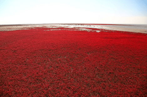 Οταν η φύση... ζωγραφίζει: Η Κόκκινη Παραλία που μαγεύει ντόπιους και τουρίστες -Από πού πήρε αυτό το χρώμα [εικόνες] | iefimerida.gr 1