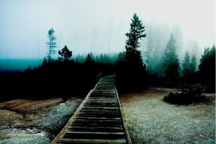  Detour – Μια φιλανθρωπική φωτογραφική έκθεση με εικόνες που θέλεις να έχεις στο σπίτι σου [εικόνες] | iefimerida.gr 8