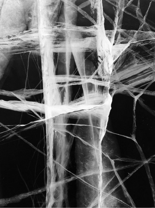  Detour – Μια φιλανθρωπική φωτογραφική έκθεση με εικόνες που θέλεις να έχεις στο σπίτι σου [εικόνες] | iefimerida.gr 3