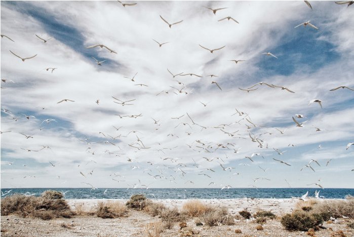  Detour – Μια φιλανθρωπική φωτογραφική έκθεση με εικόνες που θέλεις να έχεις στο σπίτι σου [εικόνες] | iefimerida.gr 10