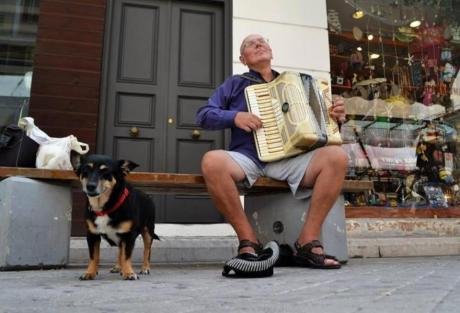 Πέθανε η θλιμμένη σκυλίτσα της Πάτρας- Λίγους μήνες μετά τον θάνατο του αφεντικού της [εικόνες] | iefimerida.gr 0