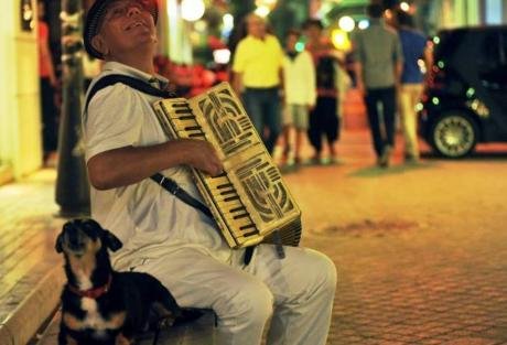 Πέθανε η θλιμμένη σκυλίτσα της Πάτρας- Λίγους μήνες μετά τον θάνατο του αφεντικού της [εικόνες] | iefimerida.gr 1