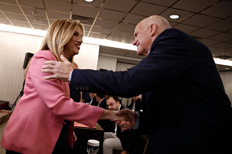 Γεννηματά για την Κεντροαριστερά: Τέλος η συζήτηση για τη διαδικασία -Τώρα είναι η ώρα της πολιτικής [εικόνες] | iefimerida.gr 3