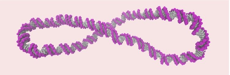 Χειροπέδες, ρακέτες ή βελόνες ραψίματος -Ετσι είναι στην πραγματικότητα το μόριο του DNA [εικόνες]  | iefimerida.gr 0