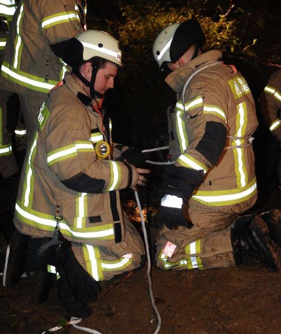 Η Πυροσβεστική έσωσε το σκύλο της και της έβγαλε την «λυπητερή»: Θα πληρώσει 10.000 ευρώ | iefimerida.gr 1