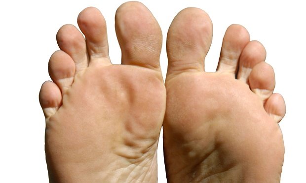 Οι πιο παράξενοι υποψήφιοι δήμαρχοι στον κόσμο -Γάτες, σκύλοι, κούκλες και ο Νταρθ Βέιντερ [εικόνες] | iefimerida.gr 3