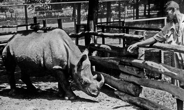 Οι πιο παράξενοι υποψήφιοι δήμαρχοι στον κόσμο -Γάτες, σκύλοι, κούκλες και ο Νταρθ Βέιντερ [εικόνες] | iefimerida.gr 4