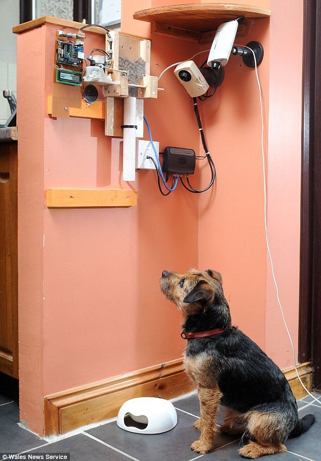 Ταΐζει το σκύλο του μέσω twitter! [εικόνες] | iefimerida.gr 0