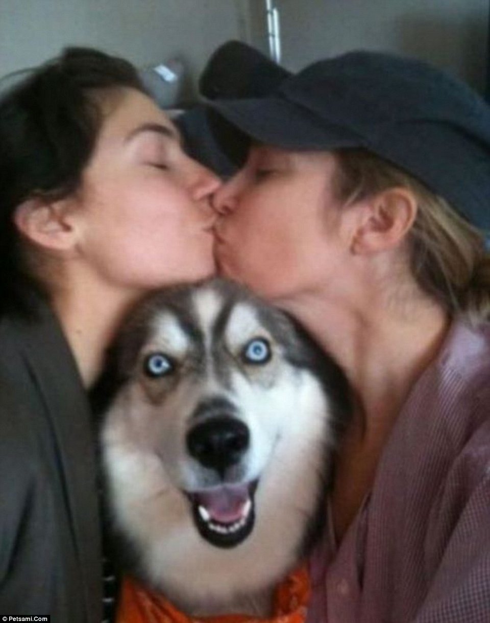 Όταν ο σκύλος σας θέλει να φωτογραφηθεί, θα το κάνει θέλετε δε θέλετε [εικόνες] | iefimerida.gr 0