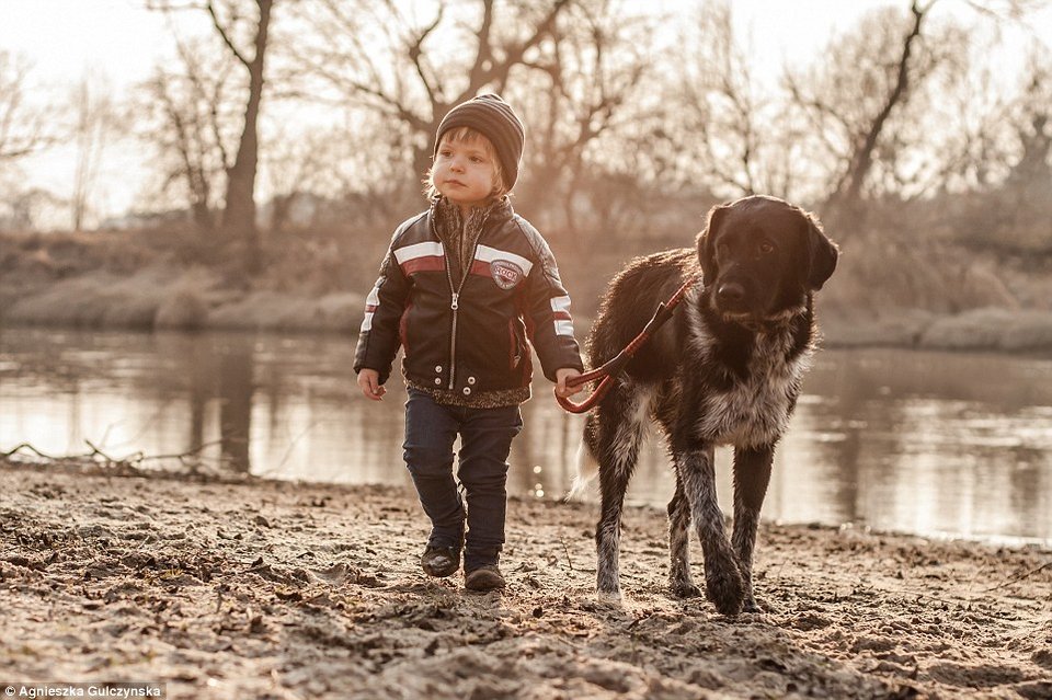 Ελιωσε το Ιντερνετ: Η σχέση αγάπης και... ύπνου ενός 2χρονου με τα 3 σκυλιά του [εικόνες] | iefimerida.gr 2