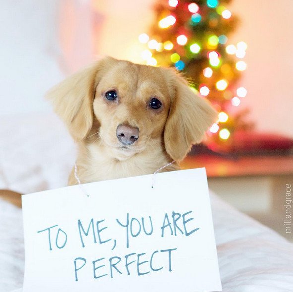 Ταξίδια, φαγητό, μόδα, pets- Top λογαριασμοί στο Instagram με τις πιο «ψαγμένες» φωτογραφίες | iefimerida.gr 0