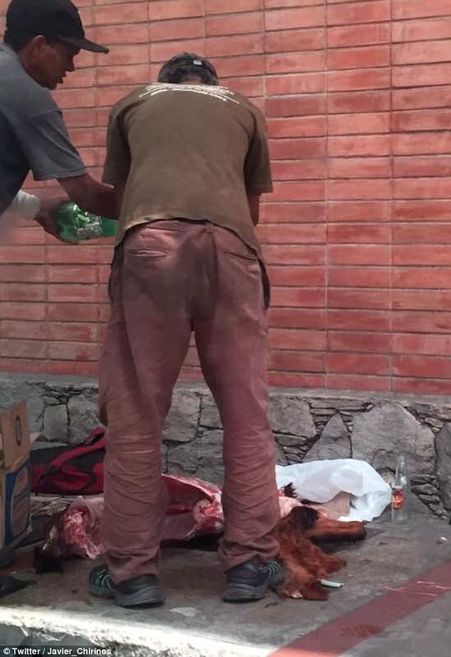 Φρίκη στη Βενεζουέλα: Σφάζουν και τρώνε σκύλους λόγω πείνας [Προσοχή: Σκληρές εικόνες] | iefimerida.gr 0