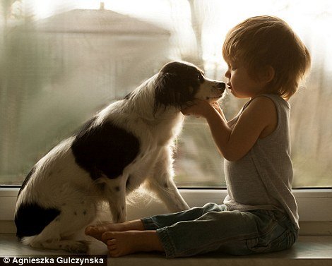 Ελιωσε το Ιντερνετ: Η σχέση αγάπης και... ύπνου ενός 2χρονου με τα 3 σκυλιά του [εικόνες] | iefimerida.gr 1