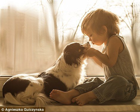 Ελιωσε το Ιντερνετ: Η σχέση αγάπης και... ύπνου ενός 2χρονου με τα 3 σκυλιά του [εικόνες] | iefimerida.gr 3