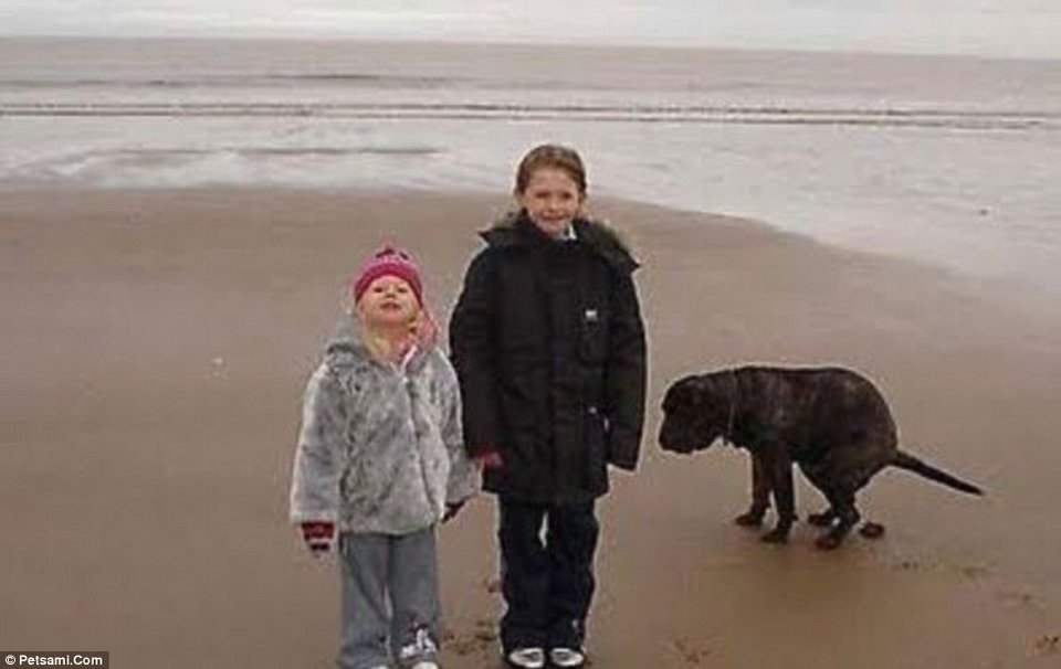 Όταν ο σκύλος σας θέλει να φωτογραφηθεί, θα το κάνει θέλετε δε θέλετε [εικόνες] | iefimerida.gr 2