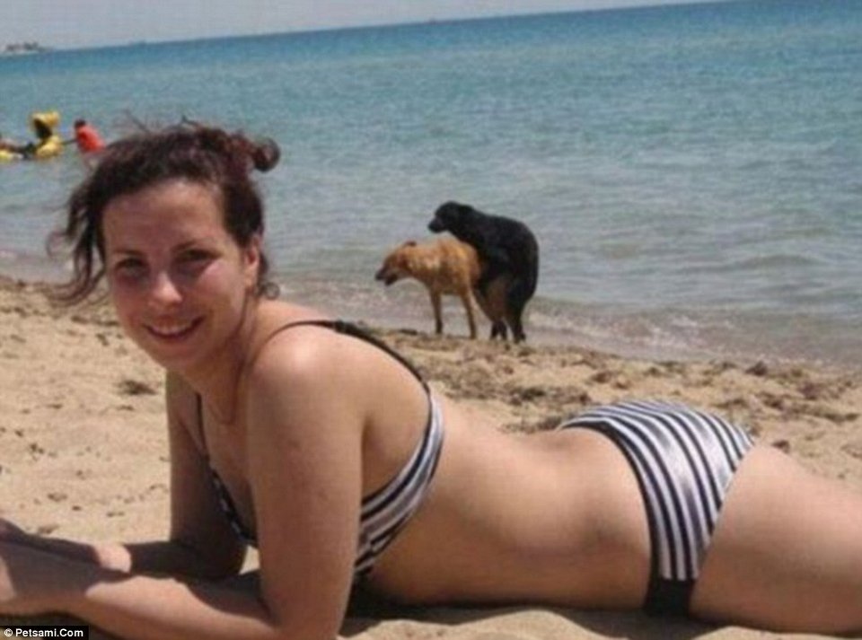 Όταν ο σκύλος σας θέλει να φωτογραφηθεί, θα το κάνει θέλετε δε θέλετε [εικόνες] | iefimerida.gr 3