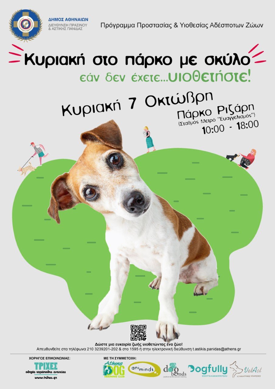 Υιοθετήστε ένα αδέσποτο! Ο δήμος Αθηναίων μάς συστήνει 26 σκυλάκια, εμβολιασμένα και στειρωμένα | iefimerida.gr 2
