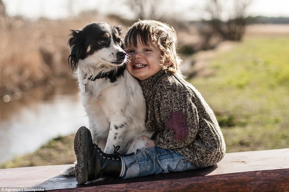 Ελιωσε το Ιντερνετ: Η σχέση αγάπης και... ύπνου ενός 2χρονου με τα 3 σκυλιά του [εικόνες] | iefimerida.gr 6
