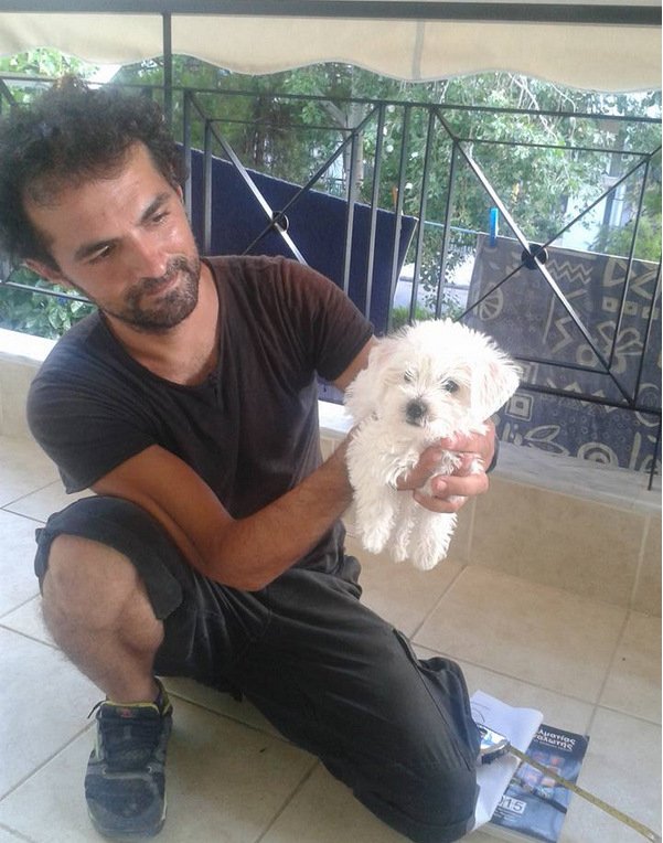 Συγκινητικό: Ελληνας υδραυλικός βοηθάει ανάπηρα σκυλάκια να περπατήσουν ξανά [εικόνες] | iefimerida.gr 1