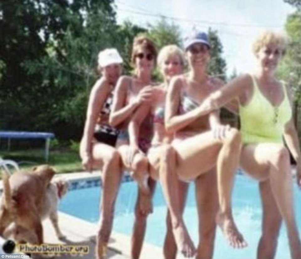 Όταν ο σκύλος σας θέλει να φωτογραφηθεί, θα το κάνει θέλετε δε θέλετε [εικόνες] | iefimerida.gr 5