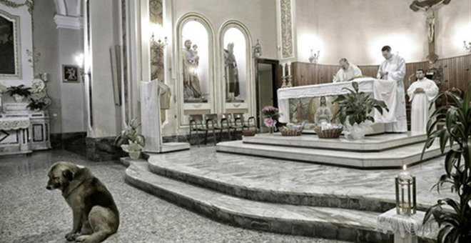 Σκύλος πήγαινε καθημερινά στην εκκλησία περιμένοντας τη γυναίκα που τον μεγάλωσε [εικόνες] | iefimerida.gr 5