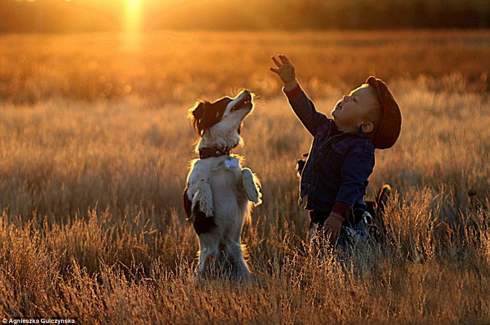 Ελιωσε το Ιντερνετ: Η σχέση αγάπης και... ύπνου ενός 2χρονου με τα 3 σκυλιά του [εικόνες] | iefimerida.gr 8