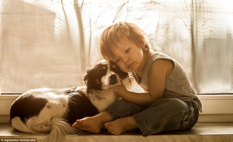 Ελιωσε το Ιντερνετ: Η σχέση αγάπης και... ύπνου ενός 2χρονου με τα 3 σκυλιά του [εικόνες] | iefimerida.gr 5