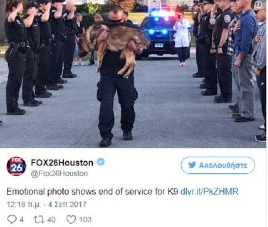 Η φωτογραφία με τον αστυνομικό σκύλο λίγο πριν την ευθανασία που συγκινεί [εικόνες] | iefimerida.gr 0