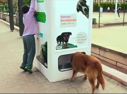 «Μπορούν να έρθουν αυτά στην πόλη μας;» -Iδού τι ζητάει η Πόπη Τσαπανίδου από τους δημάρχους [εικόνες&βίντεο] | iefimerida.gr 1