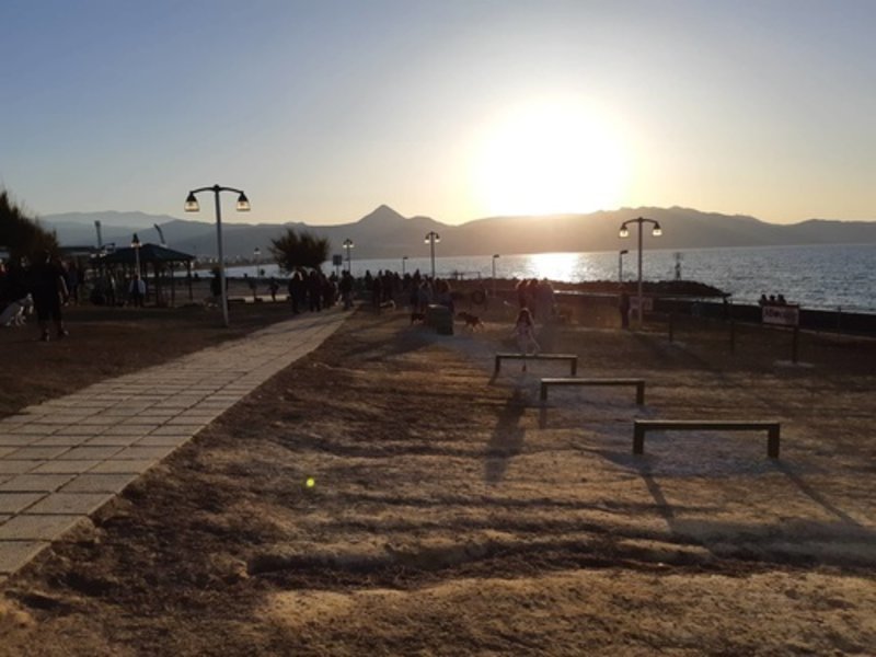 Εγκαινιάστηκε το πρώτο πάρκο σκύλων στον δήμο Ηρακλείου Κρήτης [εικόνες] | iefimerida.gr 0