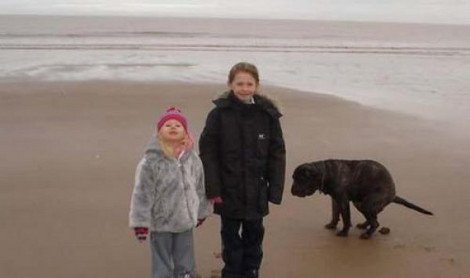 Πώς ένα όμορφο σκυλάκι μπορεί να «καταστρέψει» ένα φωτογραφικό στιγμιότυπο... [εικόνες] | iefimerida.gr 0