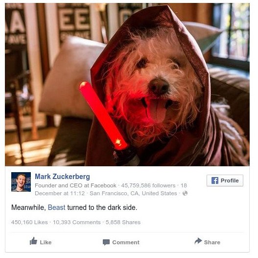 Ο σκύλος του Ζούκερμπεργκ είναι μεγάλος σταρ -Τώρα και του Star Wars [εικόνα] | iefimerida.gr 0