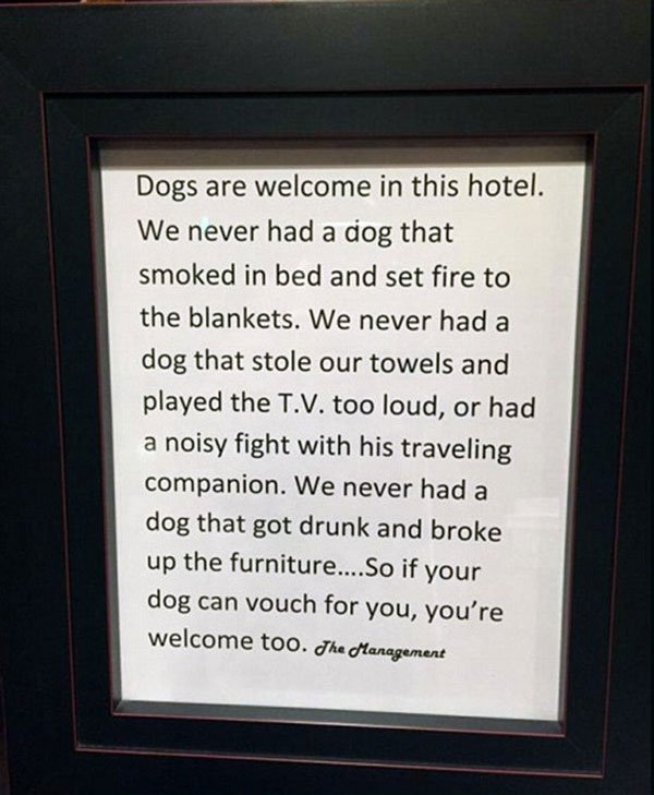 Viral -Ξενοδοχείο εξηγεί γιατί δέχεται και σκύλους, τρολάροντας τους πελάτες του! [εικόνες] | iefimerida.gr 0