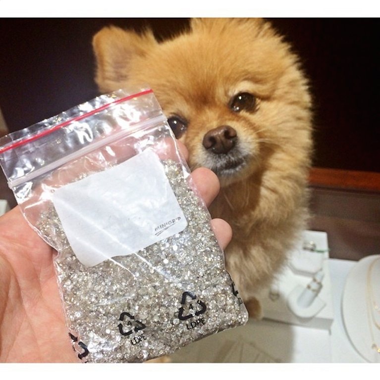 Business Insider: Τα πλούσια παιδιά του Instragram ξεσάλωσαν φέτος το καλοκαίρι [εικόνες] | iefimerida.gr 1