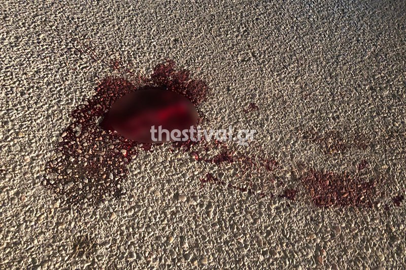 Αγρια δολοφονία 45χρονου στη Θεσσαλονίκη- Στον γιο στρέφονται οι έρευνες [εικόνες] | iefimerida.gr 1