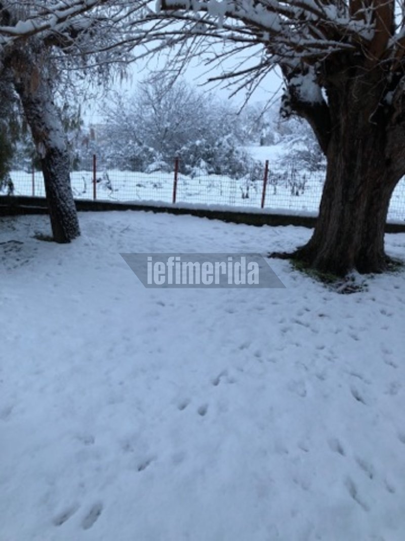 Στα λευκά «ντύθηκε» ο Δομοκός -Προβλήματα σε όλη τη Φθιώτιδα [εικόνες] | iefimerida.gr 0