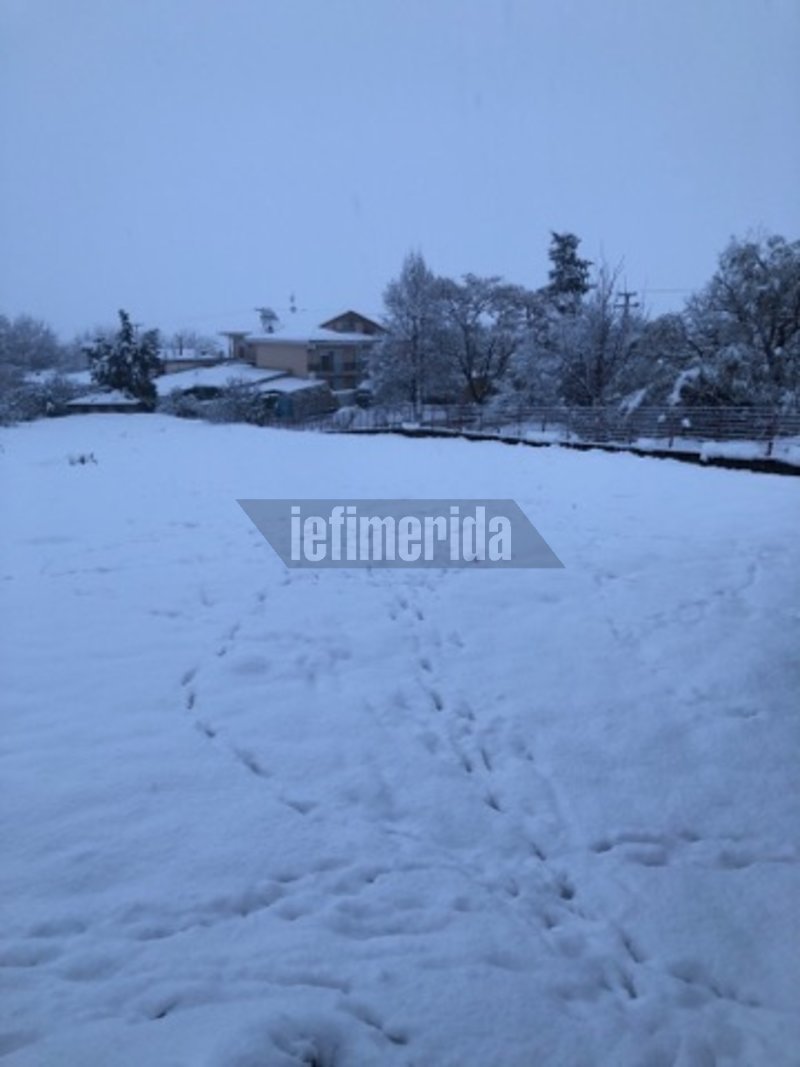 Στα λευκά «ντύθηκε» ο Δομοκός -Προβλήματα σε όλη τη Φθιώτιδα [εικόνες] | iefimerida.gr 1