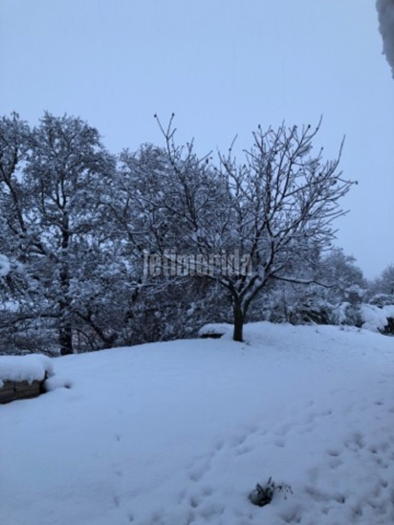 Στα λευκά «ντύθηκε» ο Δομοκός -Προβλήματα σε όλη τη Φθιώτιδα [εικόνες] | iefimerida.gr 3