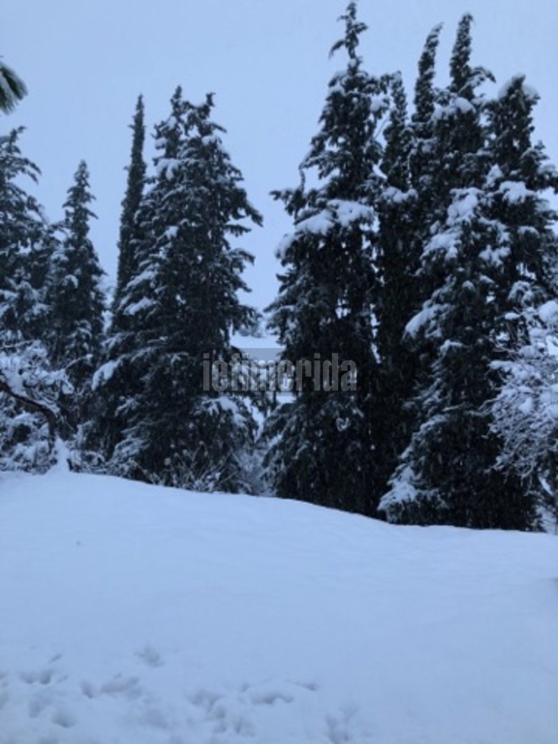 Στα λευκά «ντύθηκε» ο Δομοκός -Προβλήματα σε όλη τη Φθιώτιδα [εικόνες] | iefimerida.gr 4