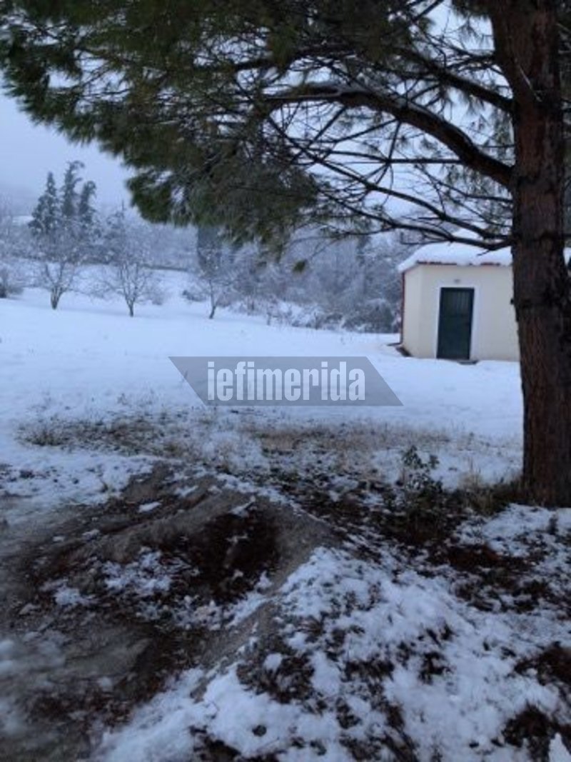 Στα λευκά «ντύθηκε» ο Δομοκός -Προβλήματα σε όλη τη Φθιώτιδα [εικόνες] | iefimerida.gr 5