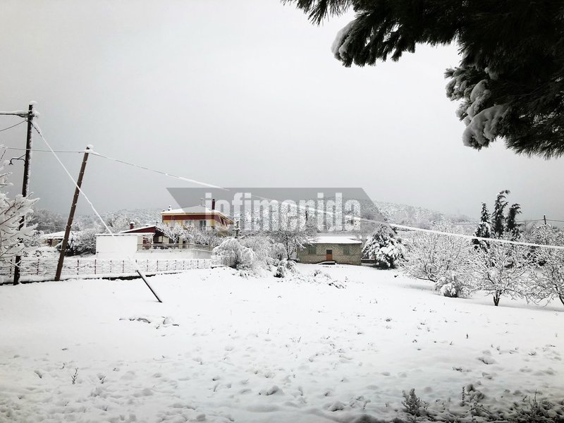 Στα λευκά «ντύθηκε» ο Δομοκός -Προβλήματα σε όλη τη Φθιώτιδα [εικόνες] | iefimerida.gr 6
