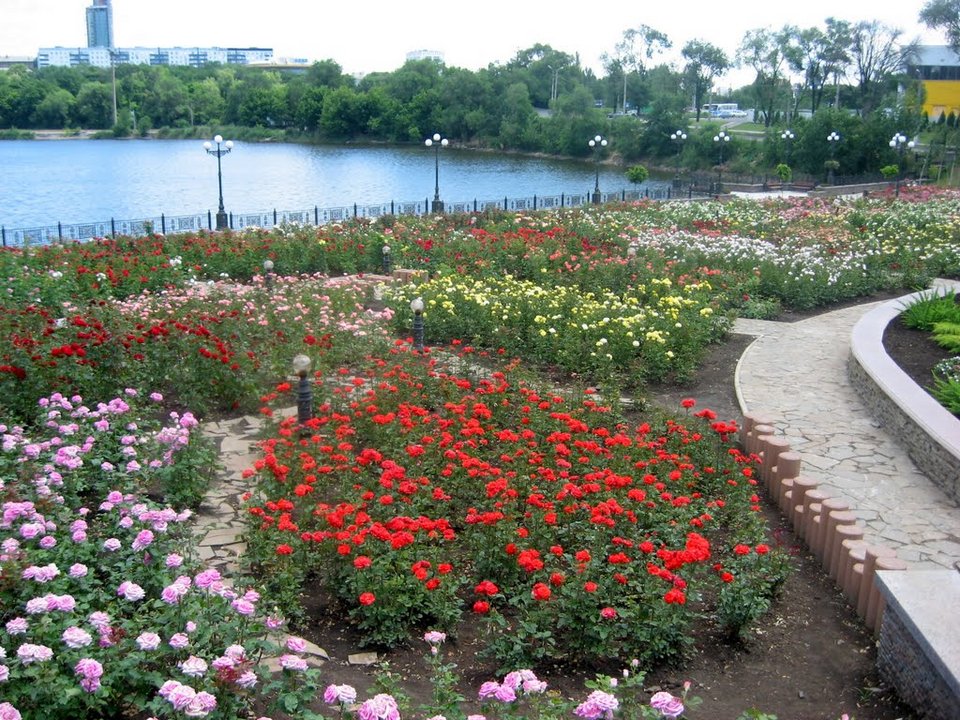 O Σωτήρης Δανέζης από το μέτωπο της Ουκρανίας: Ντονέτσκ, η πόλη με το 1 εκατ. τριαντάφυλλα [εικόνες] | iefimerida.gr 0