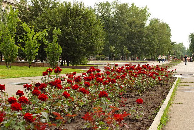 O Σωτήρης Δανέζης από το μέτωπο της Ουκρανίας: Ντονέτσκ, η πόλη με το 1 εκατ. τριαντάφυλλα [εικόνες] | iefimerida.gr 3