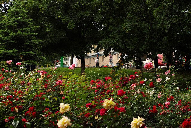 O Σωτήρης Δανέζης από το μέτωπο της Ουκρανίας: Ντονέτσκ, η πόλη με το 1 εκατ. τριαντάφυλλα [εικόνες] | iefimerida.gr 4