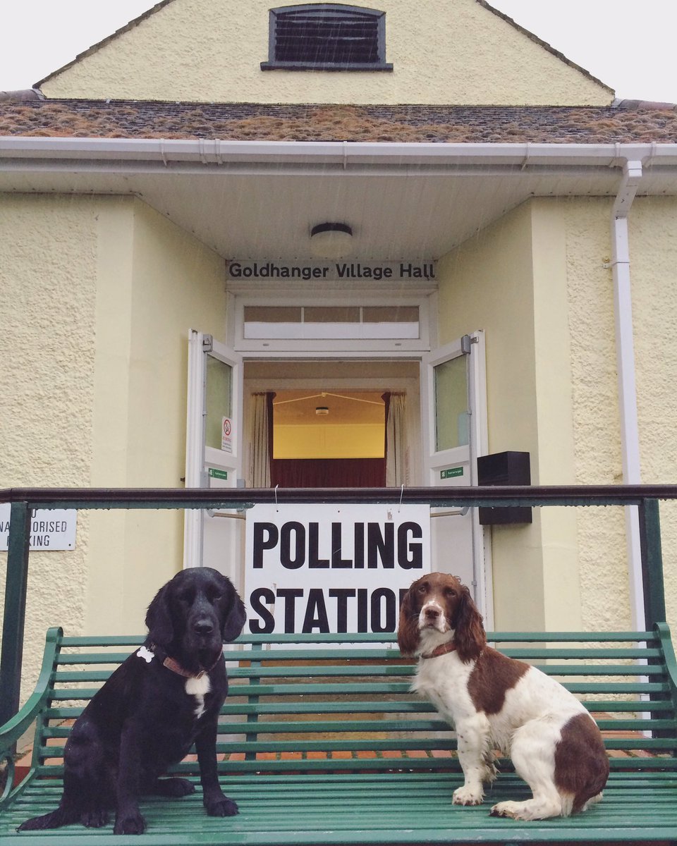 Οι Βρετανοί ψήφισαν μαζί με τα σκυλιά και τα άλογά τους -Φωτιά στο Twitter [εικόνες] | iefimerida.gr 0